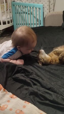2 котëнка