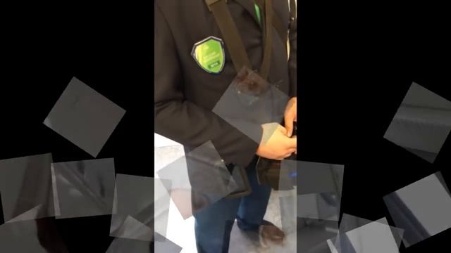 Истинное лицо кассиров-контролёров ЦППК смотреть онлайн