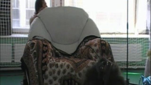 Гималайская йога. Пайлот баба.Пранаяма.