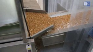 Линия для производства арахисовой пасты