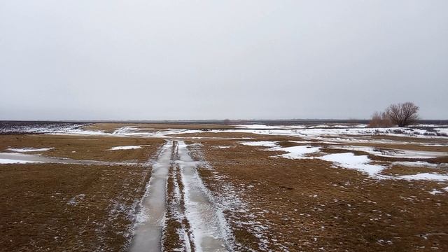 Исчезнувший поселок Свешниково (Олейники), Ершовский район (панорама).