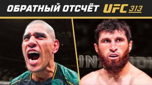 UFC 313 Обратный отсчет - Перейра vs Анкалаев