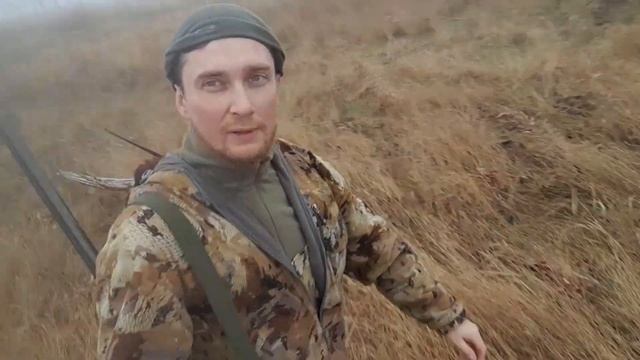 ОХОТА НА ФАЗАНА. Закрытие сезона 20.01.2024 #охота #хобби #охотанафазана #фазаны смотреть онлайн