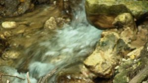 Цветение нити Исходник