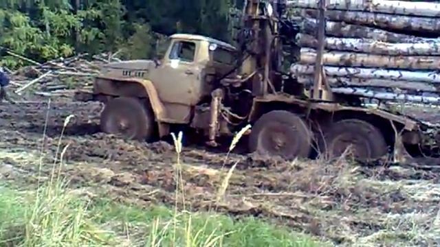 в лесу.mp4 смотреть онлайн