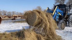 Разворачиватель рулонов сена azso-30.ru