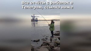 Ловля судака на Канонерском острове. Рыбалка СПБ и в Ленинградской области. Финский залив