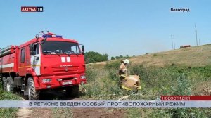 В регионе запретили разводить в лесу костры до октября