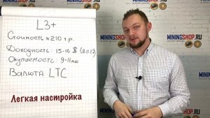 Antminer L3+. Доходность и окупаемость Асика Л3+
