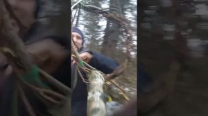 Установка петли на рябчика.