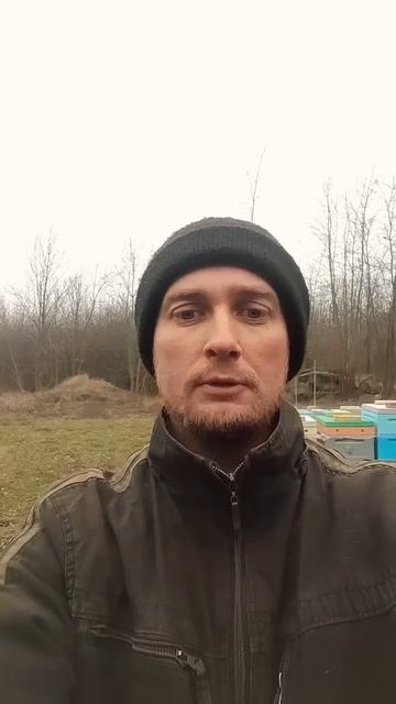ЗИМА БЕРЁТ СВОЁ 7.02.2025 #пасека #пчеловодство #bee #пчелы смотреть онлайн