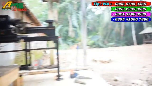 SENAPAN ANGIN GEJLUK DWP OD 25 MAGAZINE MURAH PES BOS SURADI DI BENGKULU UTARA