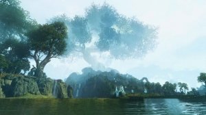 Eternal Summer - TWW Wood Elves Ambient music