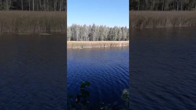 Ворскла село Куземин сентябрь 2020 смотреть онлайн