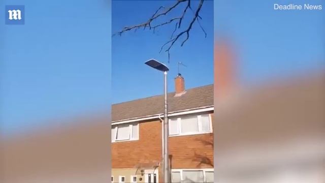 Man alleges tree is being killed off by '5G transmitter' смотреть онлайн