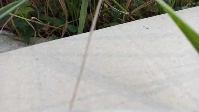 🐌Распаковка посылки Ив Роше с двумя шикарными🎁🎁🍃 смотреть онлайн