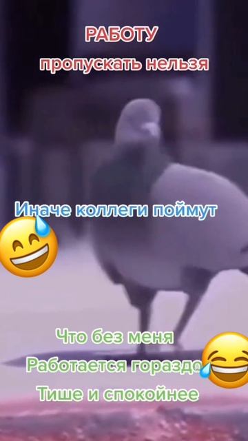 Вот почему нельзя пропускать работу смотреть онлайн