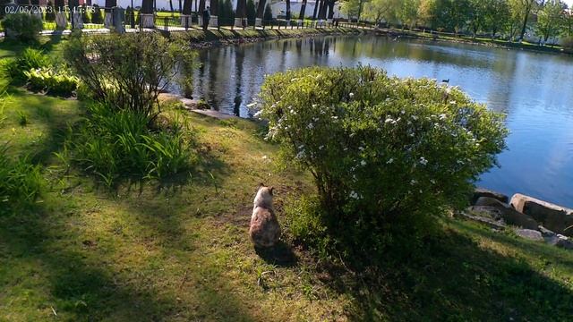 Дзержинский смотреть онлайн