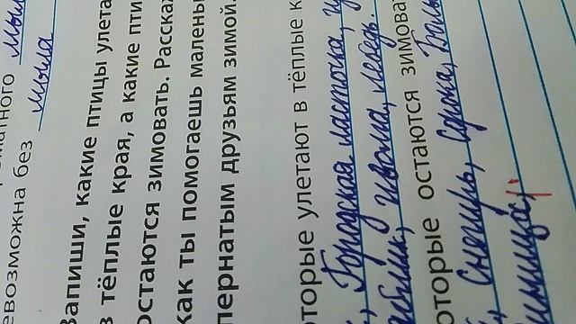 Проверка тетрадей по русскому языку/игра в учителя