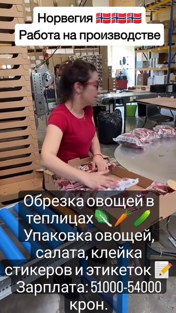 работа в Европе упаковка на производстве смотреть онлайн