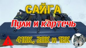 "Сайга" в калибрах 410, 20 и 12. Пуля и картечь. Полусерьезный зимний тест.