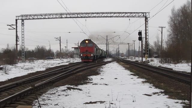 Станция Александровская. Грузовой на Лугу. 1.03.25.