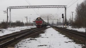 Станция Александровская. Грузовой на Лугу. 1.03.25.