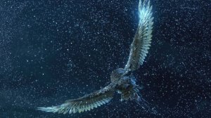 ПОЛЁТ ДУШИ  (Вещий сон)