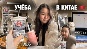 УЧЕБА В КИТАЕ 📖| или как ВыЖиТЬ // *не для слабаков* | ВЛОГ