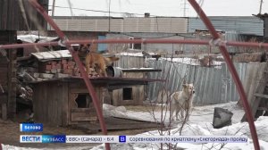 Ни урожая, ни угля: беловчане жалуются на затопленные подвалы