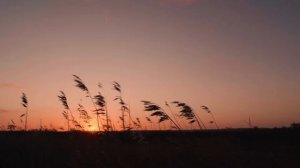 Древлегорск. "Святица". "17 лет". "Взлетающий свет"