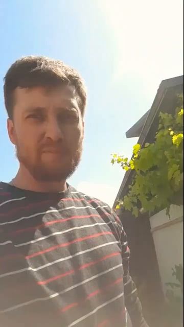 ДВА СЮРПРИЗА #рой #пасека #пчеловодство #пчелы #bee #honey смотреть онлайн