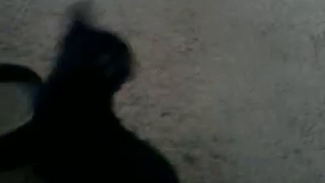 #3. Пипа дома смотреть онлайн