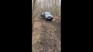 Поездка к водопаду