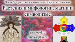 Растения в мифологии, магии и символизме. Часть 5 - магические и фантастические растения