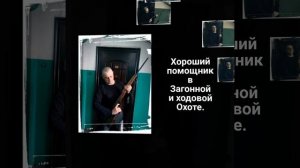 Карабин Вепрь-308-Супер.