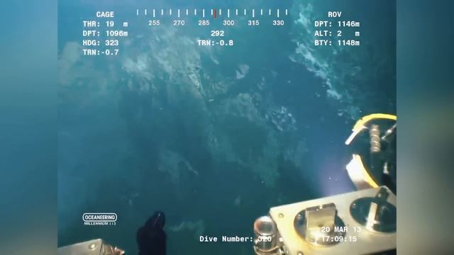 15 СТРАШНЫХ СУЩЕСТВ ПОД ВОДОЙ СНЯТЫХ НА КАМЕРУ