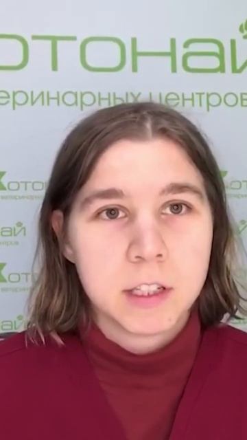 Собака подавилась! Что делать? смотреть онлайн