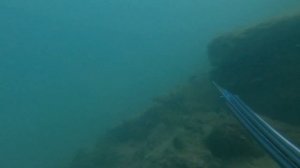 Падение Подводная охота на горбыля