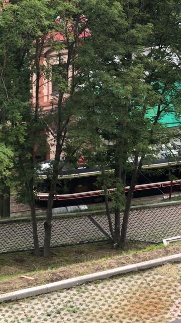 Трамвай за домом #shorts смотреть онлайн