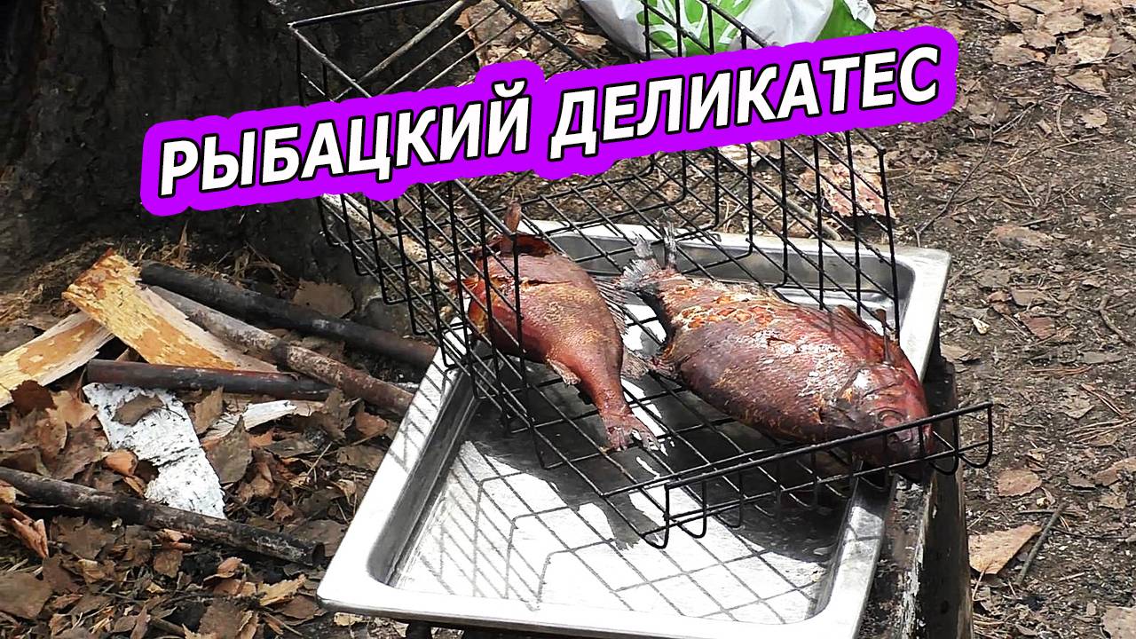 РЫБАЦКИЙ ДЕЛИКАТЕС.  ИСКУССТВО КОПЧЕНИЯ РЫБЫ НА РЫБАЛКЕ.