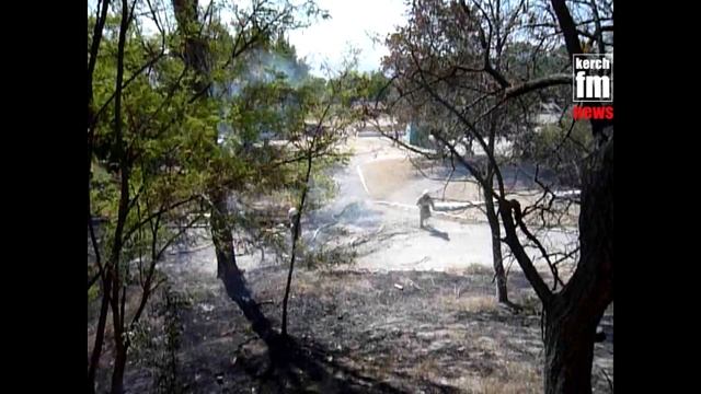 В Керчи подожгли дерево смотреть онлайн