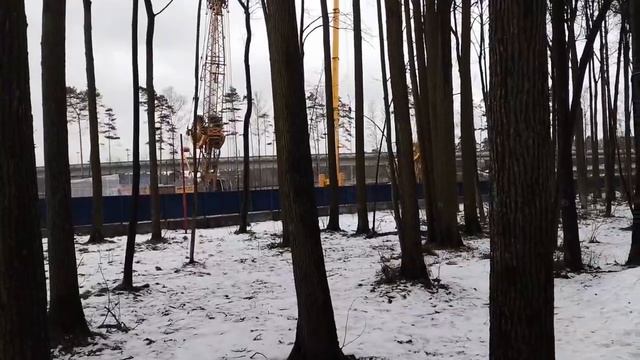Липовая Роща Рублево-Архангельской линии 18.01.2025