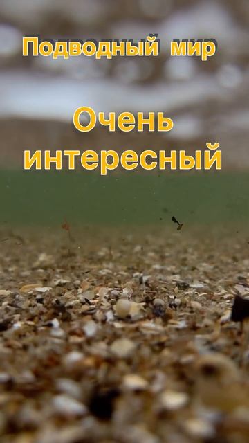 Подводный мир смотреть онлайн