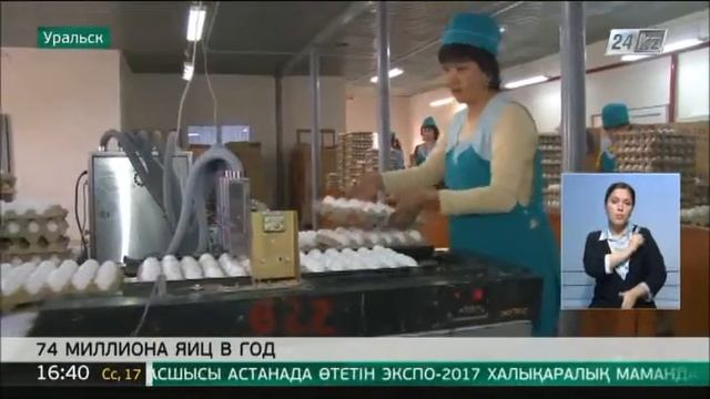 Птицефабрика в Уральске повысила свою рентабельность смотреть онлайн