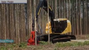 Харвестер и Форвардер tigercat и H845C 1075B