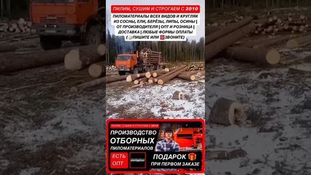 Промо ролик о Компании ПИЛОРАМА #ХОЧУДОСКУ №6