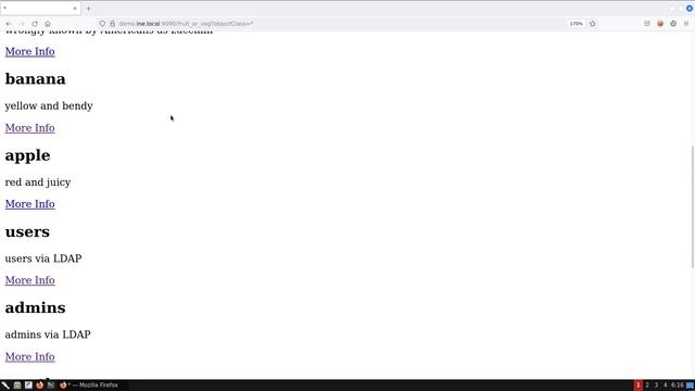 8 LDAP Injection