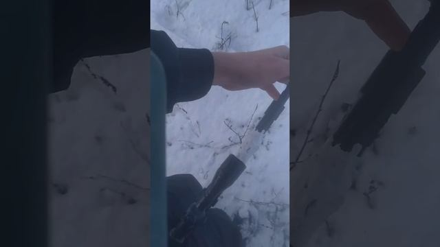 Охота на зайца.Тропление зайця по первому снегу!Следи есть.