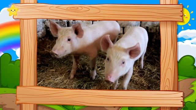 Песенка про животных Развивающая песенка для детей Животные для детей смотреть онлайн